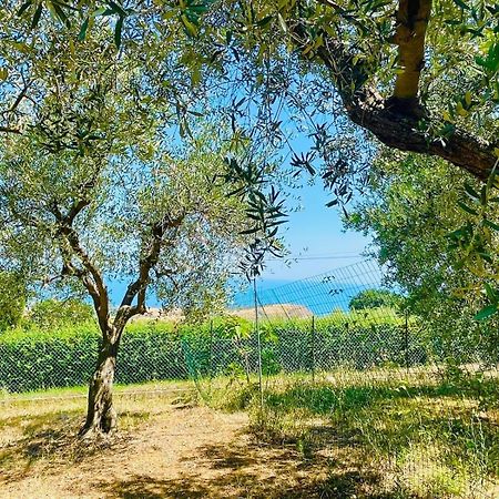 Villa In Collina Vista Mare Roseto Degli Abruzzi Εξωτερικό φωτογραφία