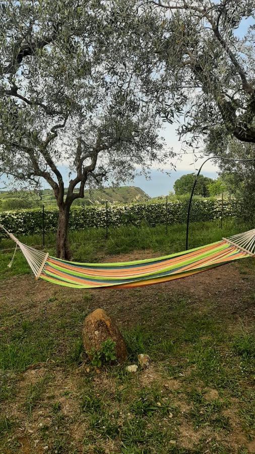 Villa In Collina Vista Mare Roseto Degli Abruzzi Εξωτερικό φωτογραφία