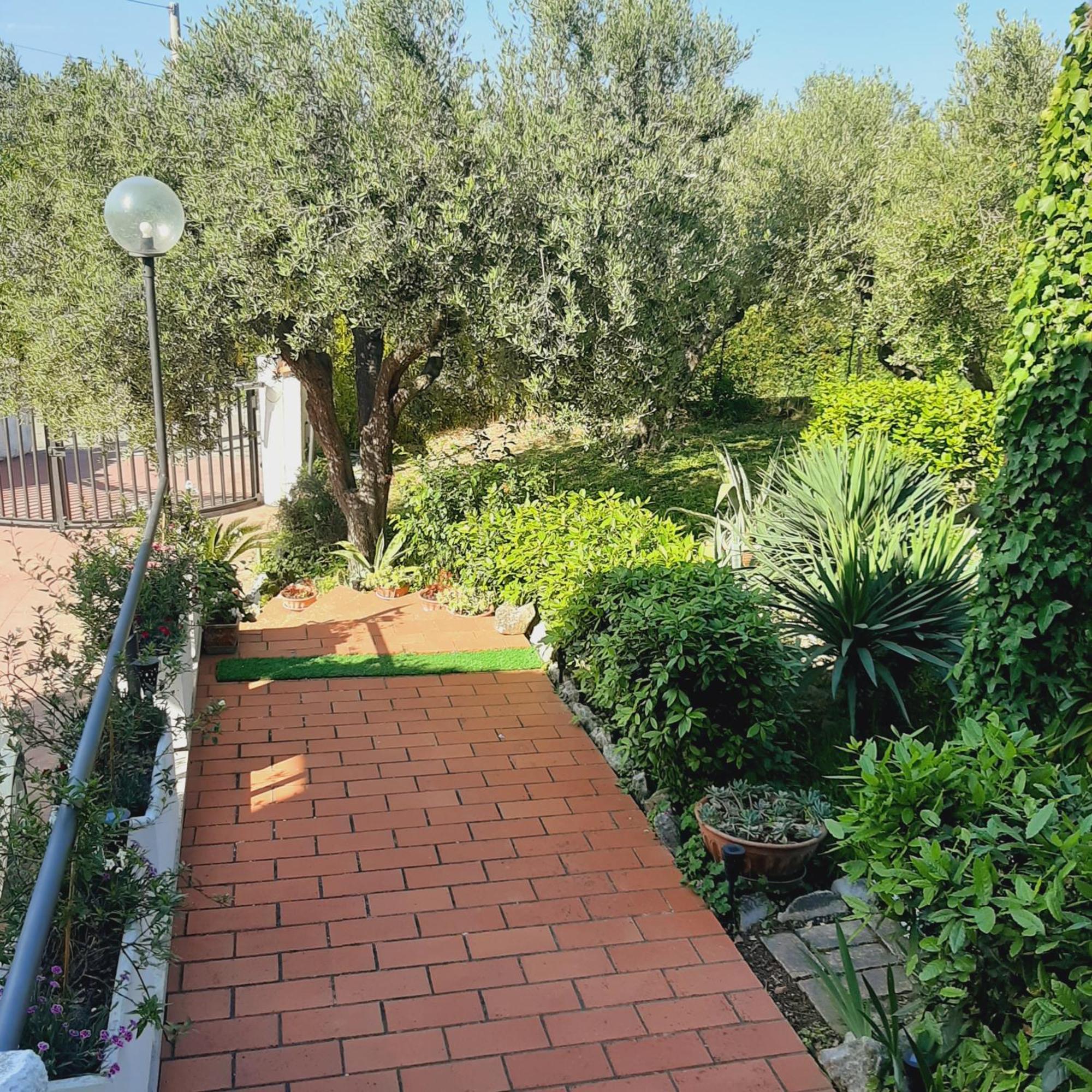 Villa In Collina Vista Mare Roseto Degli Abruzzi Εξωτερικό φωτογραφία