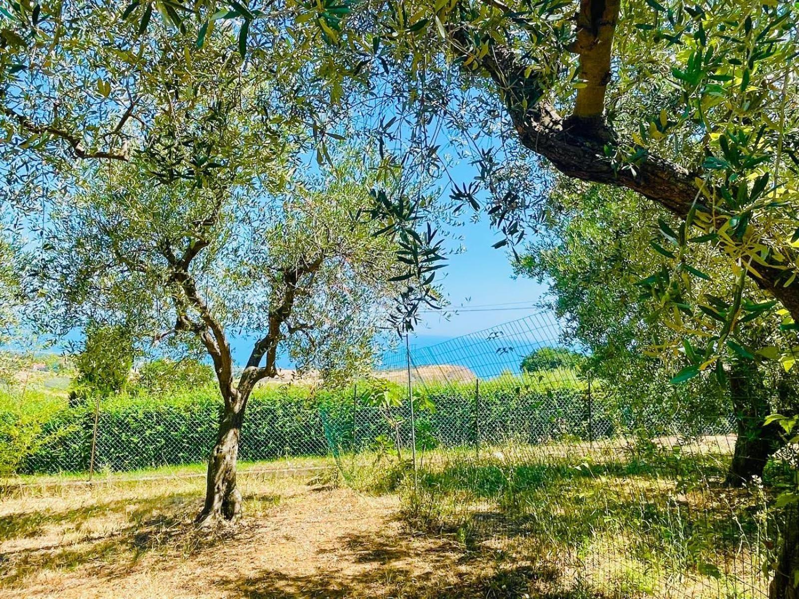 Villa In Collina Vista Mare Roseto Degli Abruzzi Εξωτερικό φωτογραφία