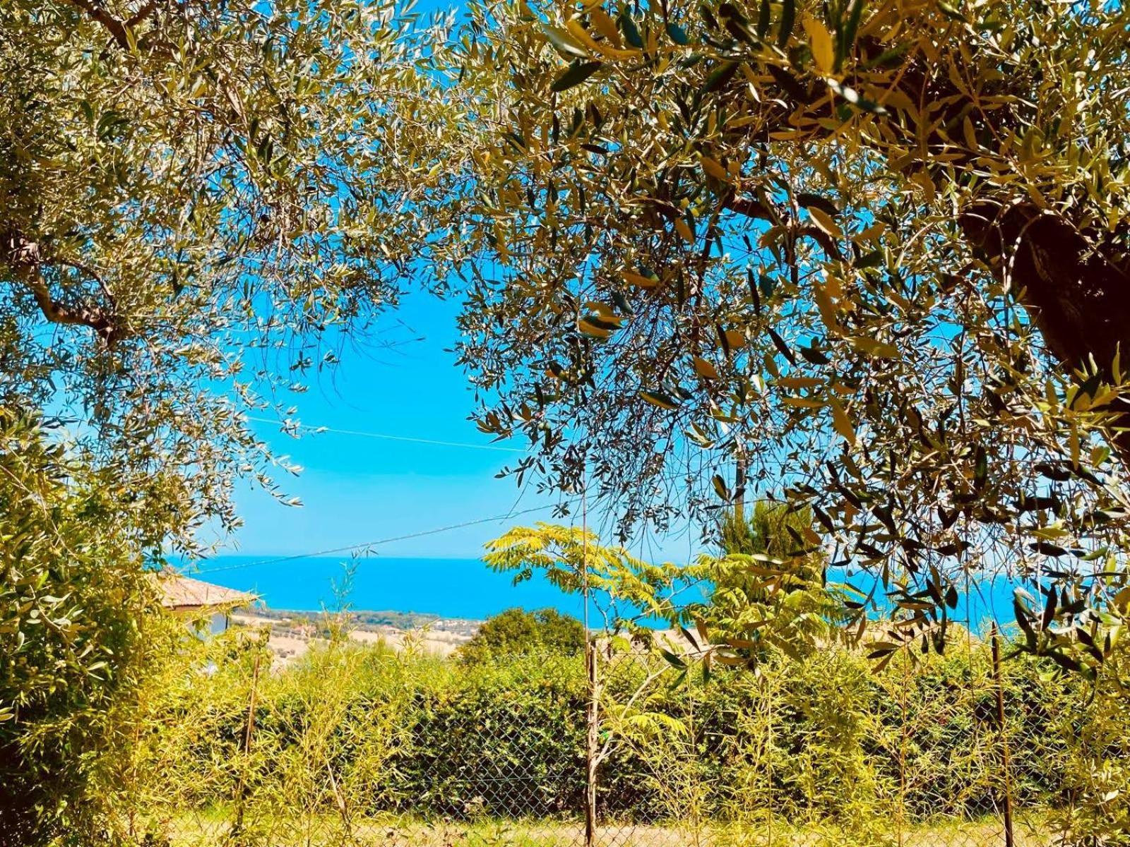 Villa In Collina Vista Mare Roseto Degli Abruzzi Εξωτερικό φωτογραφία